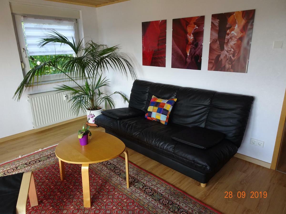 Ulmer Muenster Blick Elchingen Extérieur photo